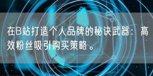 在B站打造个人品牌的秘诀武器：高效粉丝吸引购买策略。