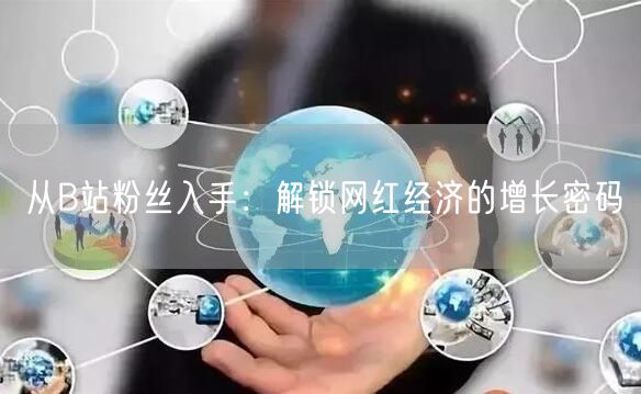 从B站粉丝入手：解锁网红经济的增长密码