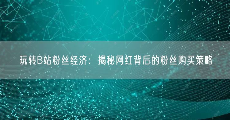 玩转B站粉丝经济：揭秘网红背后的粉丝购买策略