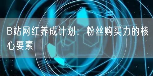 B站网红养成计划：粉丝购买力的核心要素
