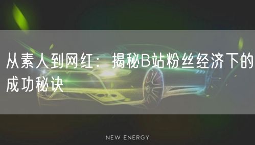 从素人到网红：揭秘B站粉丝经济下的成功秘诀