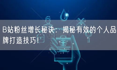 B站粉丝增长秘诀：揭秘有效的个人品牌打造技巧！