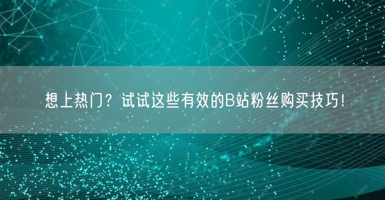 想上热门？试试这些有效的B站粉丝购买技巧！