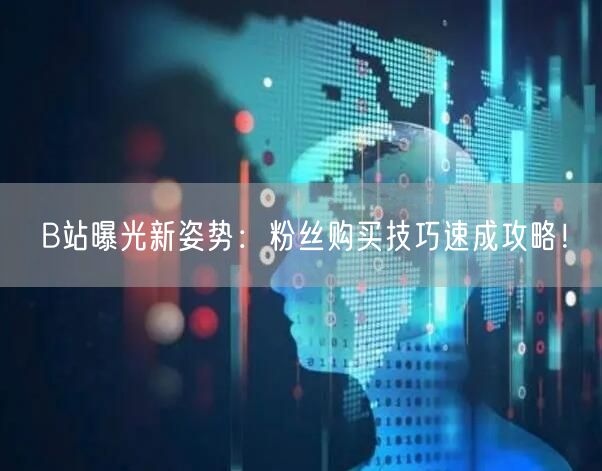 B站曝光新姿势：粉丝购买技巧速成攻略！