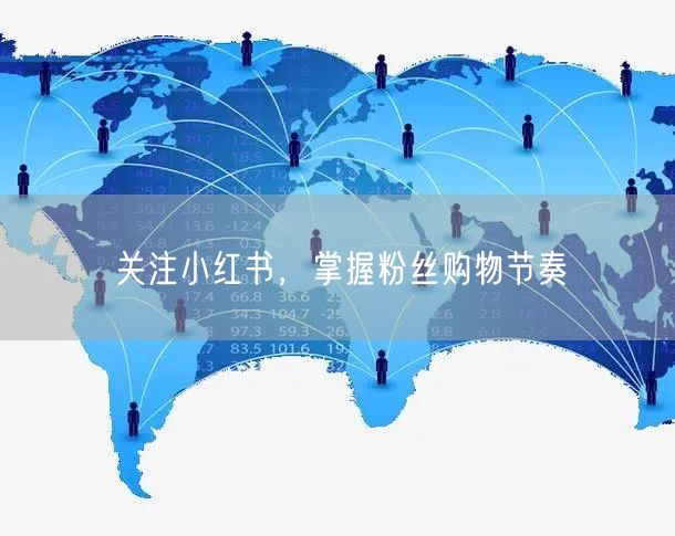 关注小红书，掌握粉丝购物节奏