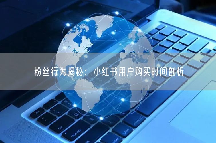 粉丝行为揭秘：小红书用户购买时间剖析