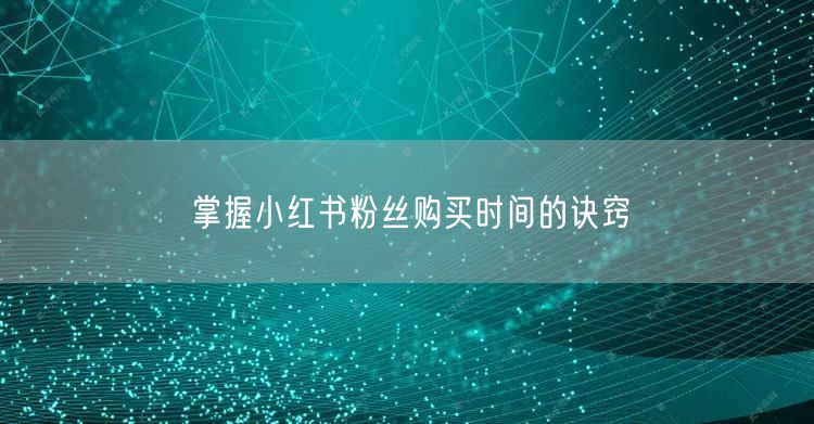 掌握小红书粉丝购买时间的诀窍