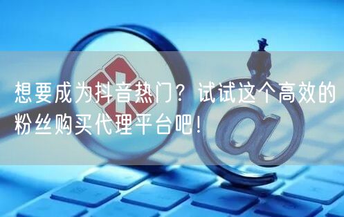想要成为抖音热门？试试这个高效的粉丝购买代理平台吧！