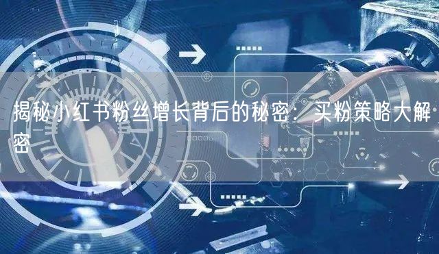 揭秘小红书粉丝增长背后的秘密：买粉策略大解密