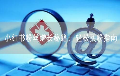 小红书粉丝增长秘籍：轻松买粉指南