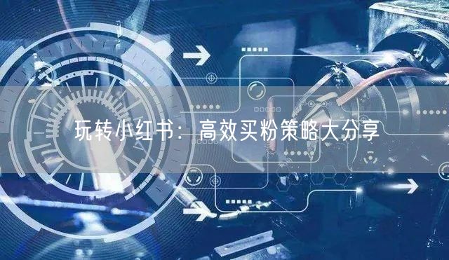 玩转小红书：高效买粉策略大分享
