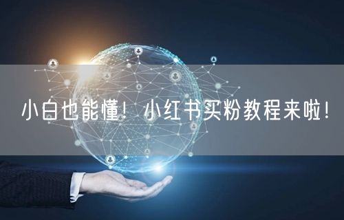 小白也能懂！小红书买粉教程来啦！