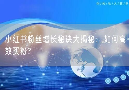 小红书粉丝增长秘诀大揭秘：如何高效买粉?