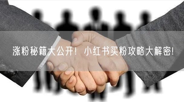 涨粉秘籍大公开！小红书买粉攻略大解密!