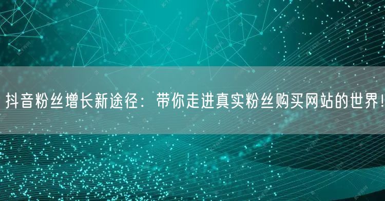 抖音粉丝增长新途径：带你走进真实粉丝购买网站的世界！
