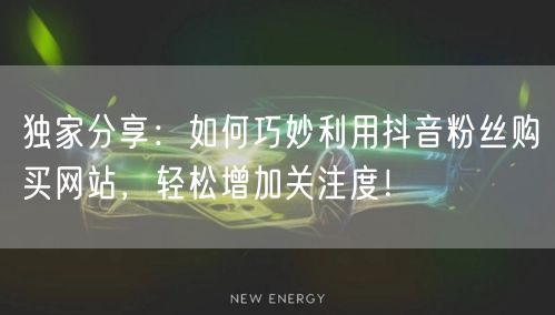 独家分享：如何巧妙利用抖音粉丝购买网站，轻松增加关注度！