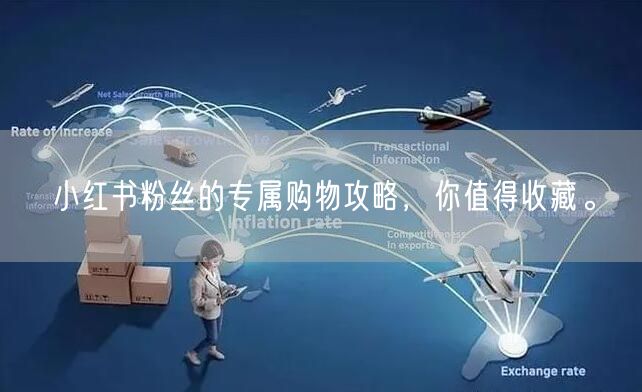 小红书粉丝的专属购物攻略，你值得收藏。