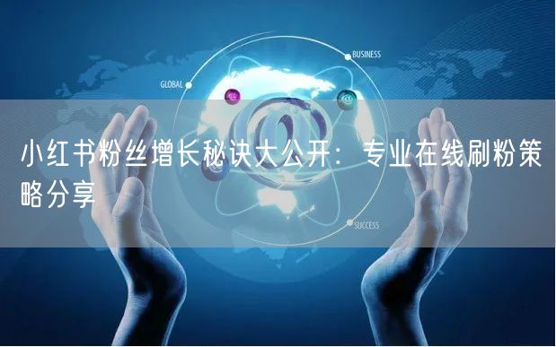 小红书粉丝增长秘诀大公开：专业在线刷粉策略分享