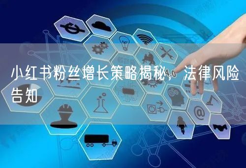 小红书粉丝增长策略揭秘，法律风险告知