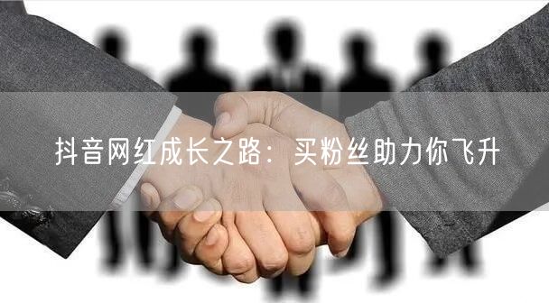 抖音网红成长之路：买粉丝助力你飞升