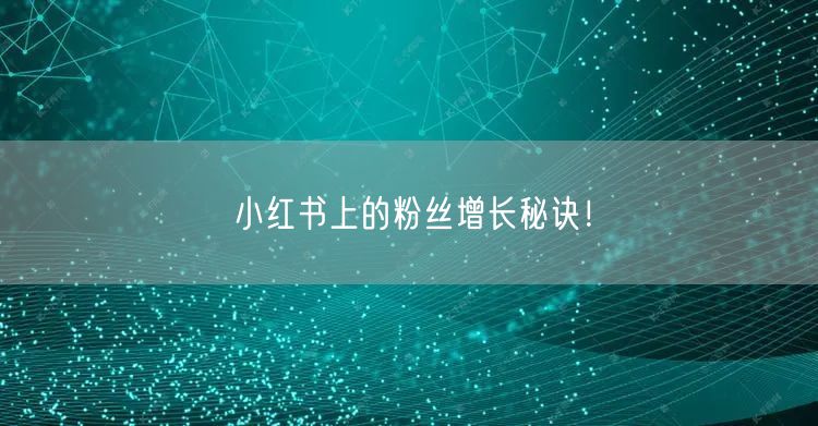 小红书上的粉丝增长秘诀！