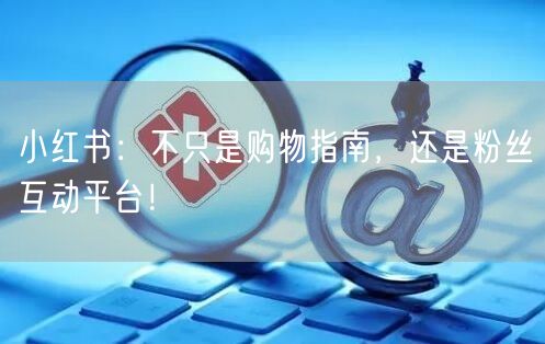 小红书：不只是购物指南，还是粉丝互动平台！