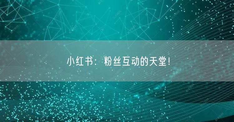 小红书：粉丝互动的天堂！