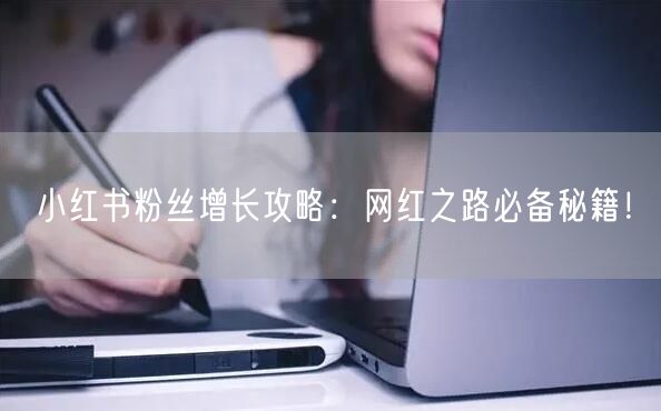 小红书粉丝增长攻略：网红之路必备秘籍！