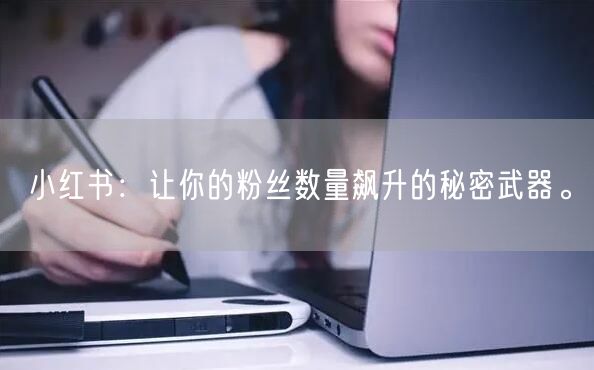 小红书：让你的粉丝数量飙升的秘密武器。