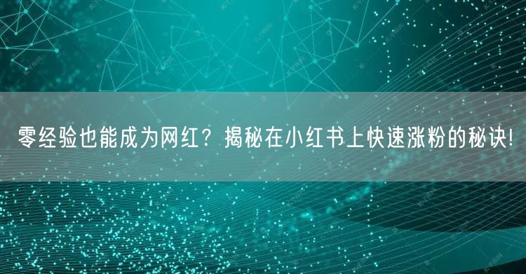 零经验也能成为网红？揭秘在小红书上快速涨粉的秘诀!