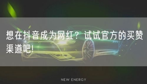 想在抖音成为网红？试试官方的买赞渠道吧!
