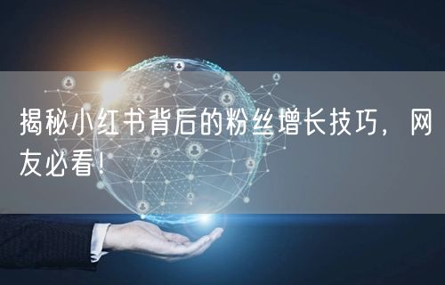 揭秘小红书背后的粉丝增长技巧，网友必看！