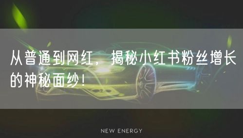 从普通到网红，揭秘小红书粉丝增长的神秘面纱！