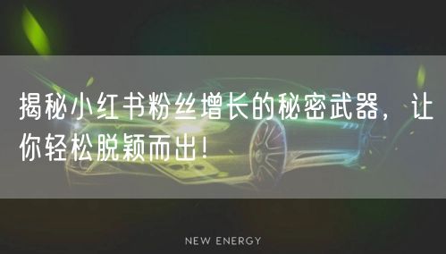 揭秘小红书粉丝增长的秘密武器，让你轻松脱颖而出！
