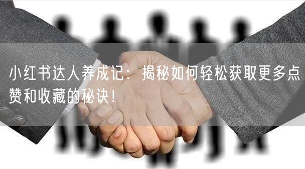 小红书达人养成记：揭秘如何轻松获取更多点赞和收藏的秘诀！