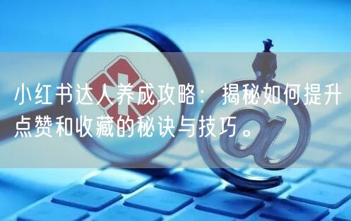 小红书达人养成攻略：揭秘如何提升点赞和收藏的秘诀与技巧。