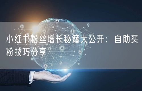 小红书粉丝增长秘籍大公开：自助买粉技巧分享