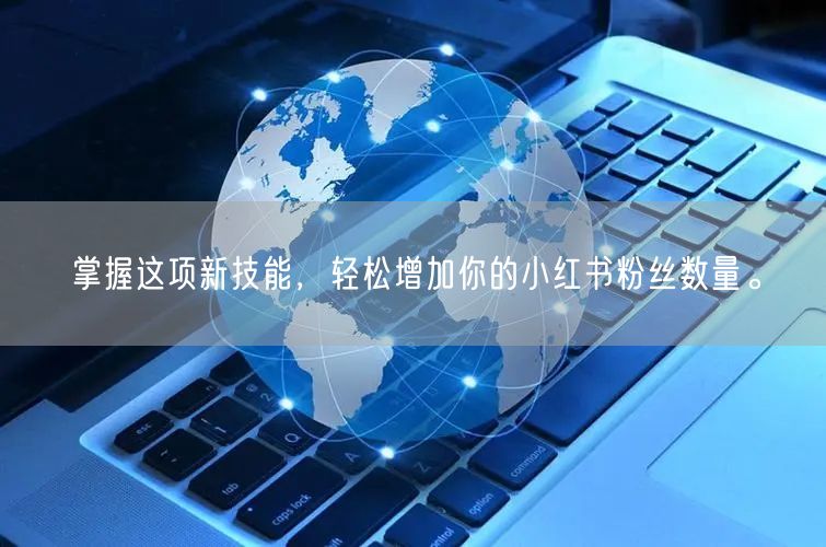 掌握这项新技能，轻松增加你的小红书粉丝数量。