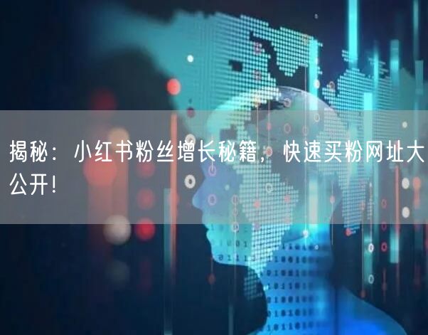 揭秘：小红书粉丝增长秘籍，快速买粉网址大公开！