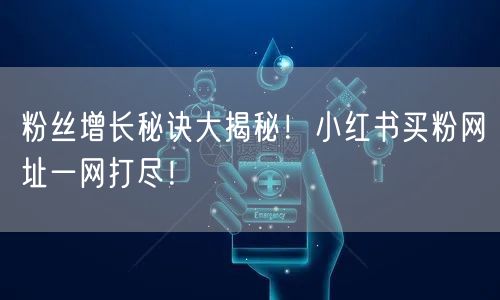粉丝增长秘诀大揭秘！小红书买粉网址一网打尽！