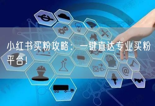 小红书买粉攻略：一键直达专业买粉平台！