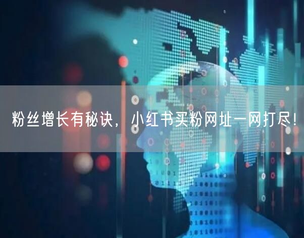 粉丝增长有秘诀，小红书买粉网址一网打尽！