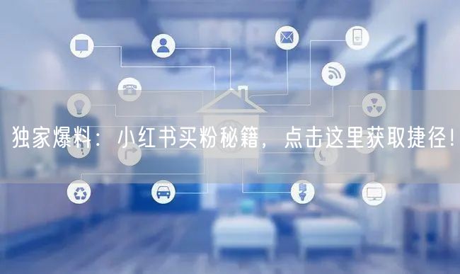 独家爆料：小红书买粉秘籍，点击这里获取捷径！
