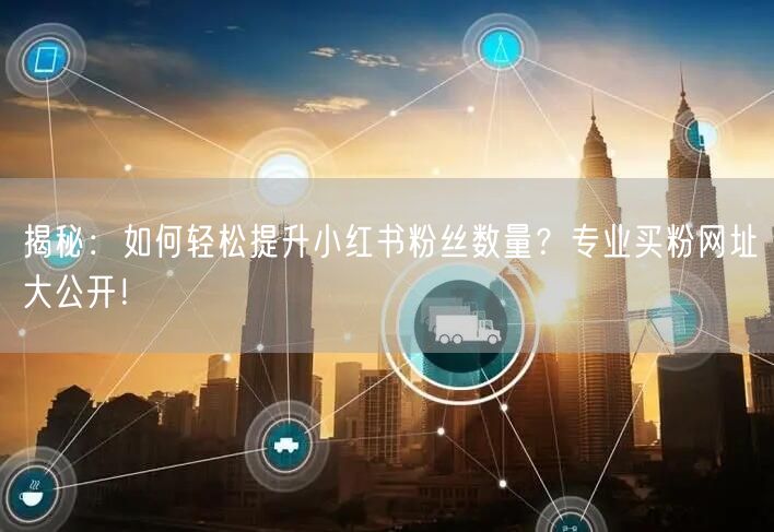 揭秘：如何轻松提升小红书粉丝数量？专业买粉网址大公开！