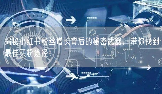 揭秘小红书粉丝增长背后的秘密武器，带你找到最佳买粉途径！