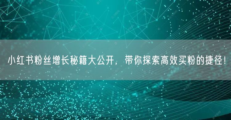 小红书粉丝增长秘籍大公开，带你探索高效买粉的捷径！