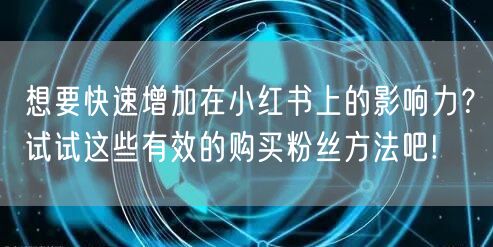 想要快速增加在小红书上的影响力？试试这些有效的购买粉丝方法吧!