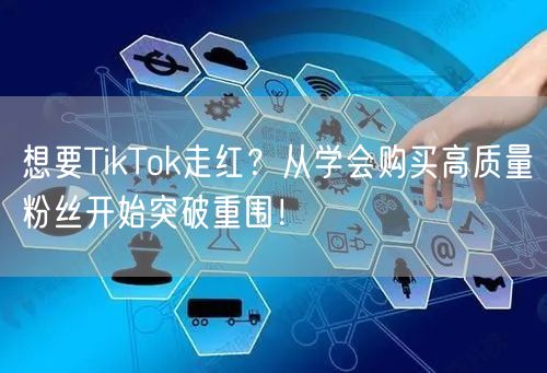 想要TikTok走红？从学会购买高质量粉丝开始突破重围！