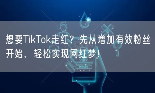 想要TikTok走红？先从增加有效粉丝开始，轻松实现网红梦！