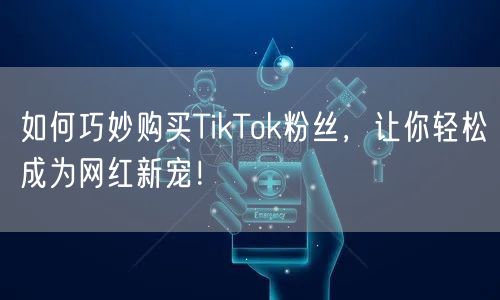 如何巧妙购买TikTok粉丝，让你轻松成为网红新宠！